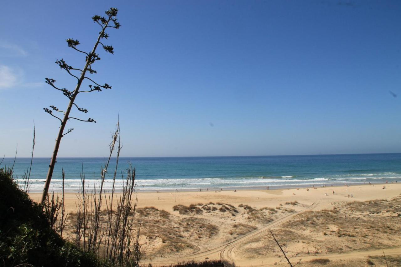 Estudio En El Centro De Conil Conil De La Frontera Luaran gambar